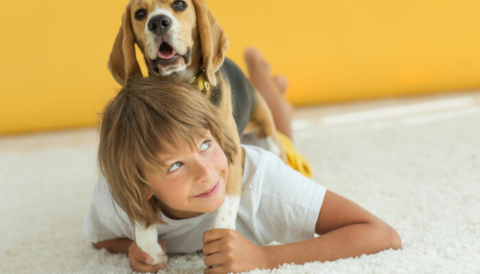 4 tips to avoid house-sitting disasters