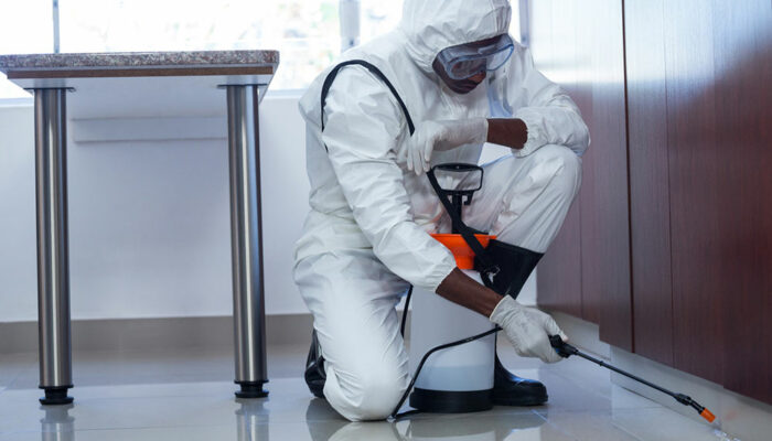 4 handy tips to choose a pest control company
